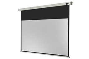 celexon Leinwand Motor Professional 220 x 124 cm