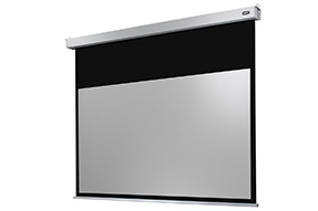 celexon Leinwand Motor Professional Plus 220 x 137 cm