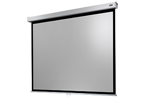 celexon Leinwand Rollo Professional Plus 220 x 165 cm