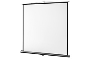 celexon Leinwand Ultramobil Professional 200 x 200 cm