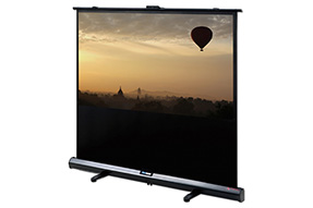 DELUXX Advanced Portable Self-Stand-X 186 x 105 cm 16:9 Mattweiss Polaro