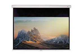 DELUXX Advanced Rolloleinwand Slowmotion 16:9 Mattweiss Polaro 266 x 148 cm