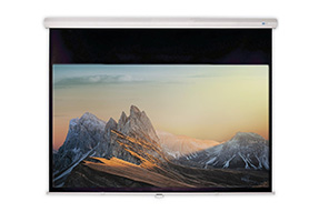 DELUXX Advanced Rolloleinwand Slowmotion 16:9 Mattweiss Polaro 295 x 165 cm
