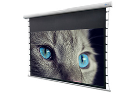 celexon Stativleinwand Ultra-lightweight 177 x 100cm