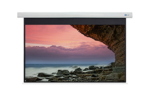 DELUXX Cinema Motorleinwand 221 x 124cm, 100