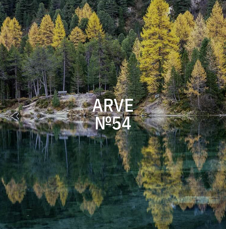 kukui-54-arve