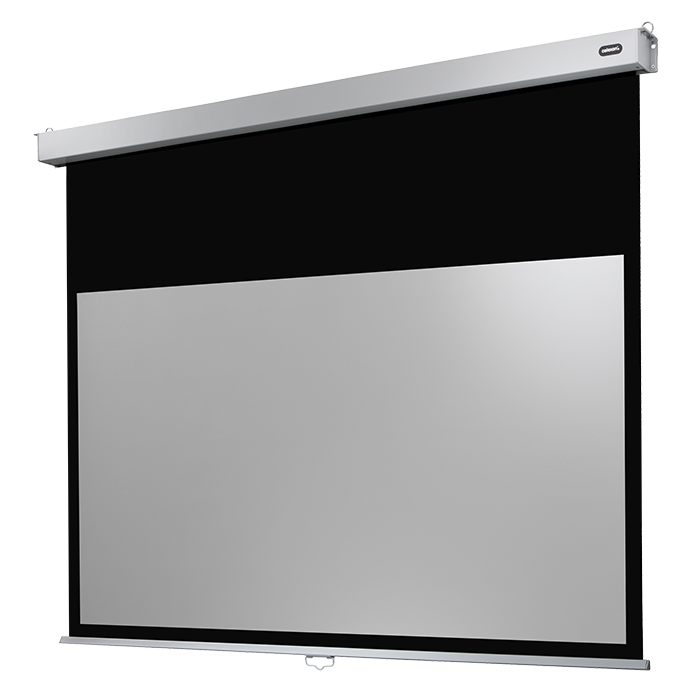 celexon Leinwand Rollo Professional