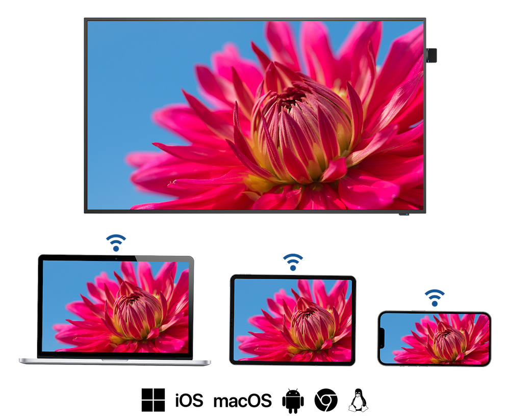 Verschiedene Geräte, darunter ein Fernseher, ein Laptop, ein Tablet und ein Smartphone, zeigen synchron das Bild einer leuchtend pinken Blume mit scharfem Fokus auf die Blütenblätter und einem unscharfen Hintergrund.