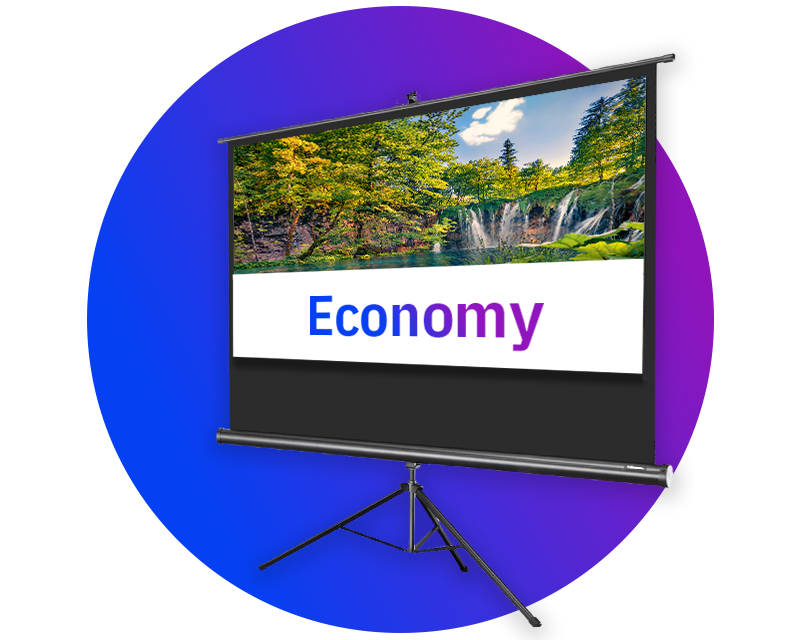 celexon Stativ Economy Leinwand