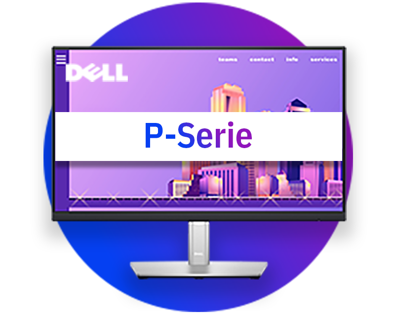 Dell Office Monitore (P-Serie)