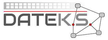 DATEK.S.Systemhaus Logo