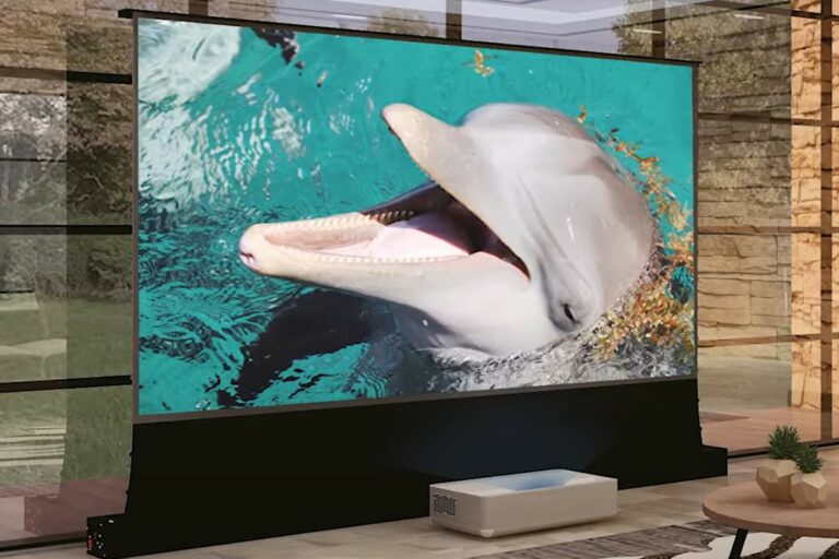 HomeCinema-Leinwand in einem Wohnzimemr