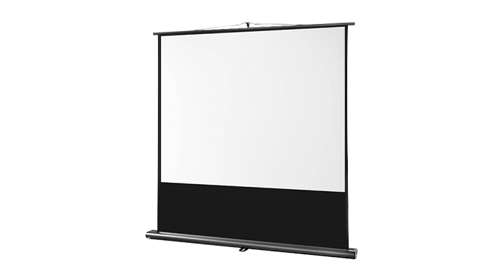 celexon Leinwand Ultramobil Professional